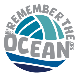 #remembertheocean Volleyball circlesticker